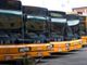 Sollievo per il trasporto pubblico del Piemonte, Roma sblocca i fondi: "A giorni soldi per bus e tram"