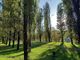 A Torino ruota panoramica ai Giardini Ginzburg, Lo Russo: &quot;Ci stiamo lavorando&quot;