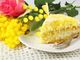 8 marzo: Festa della donna