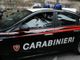 Rivoli, calci e pugni in un parco per un telefono: 14enne fermato e portato in carcere minorile Rivoli, calci e pugni in un parco per un telefono: 14enne fermato e portato in carcere minorile