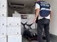 La Guardia Costiera sequestra due tonnellate di tonno rosso pescato illegalmente e destinato ad un ristorante della provincia di Varese
