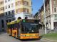Varese, conducente del bus chiede di mettere la museruola al cane: preso a schiaffi e colpito da uno sputo