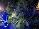 FOTO. Auto esce di strada, si ribalta e abbatte un albero: paura per due giovani nel Comasco