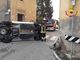 FOTO. Perde il controllo del furgone e si ribalta ad un incrocio a Besnate: illeso il conducente