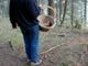 Malore fatale in Valsesia per un cercatore di funghi di Cardano al Campo