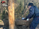 Blitz dei carabinieri contro lo spaccio di droga nei boschi di Tradate, Venegono Superiore e Castelseprio