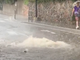 VIDEO - Temporali attesi, temporali arrivati. In via Monte Generoso a Varese straripano i tombini