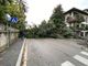 Varese, auto seppellite da un albero sradicato dal vento