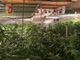 Maxi sequestro di droga in Valcuvia: smantellata un’organizzazione famigliare, la polizia sequestra un fucile a pompa