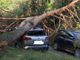 Albero cade su due auto in piazzale Bulferetti a Bizzozero: paura per due persone