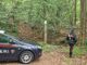 Blitz contro lo spaccio nei boschi tra Sesto Calende e Mercallo: banda della droga in manette