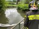 Sversamento di idrocarburi nel torrente Margorabbia: scatta il piano di difesa dell'ambiente