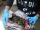 Maxi operazione della Guardia di Finanza di Malpensa: in 18 mesi sequestrati 900 chili di droga, 26 arresti e 17 denunce