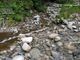 Casciago, 130 quintali di liquami nel torrente: denunciato imprenditore agricolo