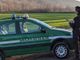 Il bilancio del 2024 dei Carabinieri Forestali di Varese: accertate 254 irregolarità, sanzionate 142 persone, 145 le denunce e 30 i sequestri effettuati