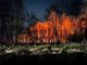 Notte di fuoco al Parco delle Groane: sfollate alcune famiglie