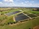 L’impianto agrivoltaico più grande d’Italia nascerà a Tarquinia