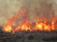 Avviata un’azione legale collettiva per la prevenzione degli incendi in Sicilia