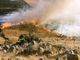 Incendio sull'Isola d'Elba, 700 persone evacuate da un camping