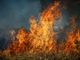 Los Angeles in fiamme, incendio causa cinque vittime