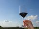 La Commissione europea propone misure mirate a sostenere il settore vitivinicolo