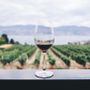 Degustazioni e presentazioni: in Toscana la settimana del vino, 13–20 febbraio 2026