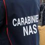 Dai controlli dei carabinieri del Nas in tutta Italia emergono irregolarità al 37%