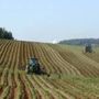 Destinati 73 milioni agli agricoltori italiani dalla Commissione europea