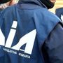 Smantellata un’organizzazione criminale grazie ad un’operazione internazionale