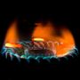 Stop al gas russo, votata la proposta della Commissione europea