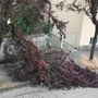 Ancora in corso interventi dei vigili del fuoco di Asti per il maltempo di ieri