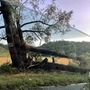 Temporale e grandine su Asti e dintorni, oltre venti interventi dei vigili del fuoco [VIDEO]