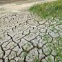 Emergenza siccità in Piemonte, Canalis attacca Cirio: "Solo due invasi realizzati dal 2019, servono interventi urgenti" Emergenza siccità in Piemonte, Canalis attacca Cirio: "Solo due invasi realizzati dal 2019, servono interventi urgenti"