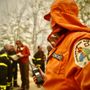 L'ombra del dolo su un incendio sterpaglie a Govone: notte di superlavoro per i vigili del fuoco di Asti L'ombra del dolo su un incendio sterpaglie a Govone: notte di superlavoro per i vigili del fuoco di Asti