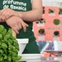 Pra’, dopo cinque anni di stop ritorna in grande stile la festa simbolo del quartiere ‘Profummo de Baxaicò’