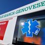 Donna travolta da un'auto mentre attraversa la strada: dramma in corso De Stefanis