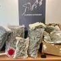 Sequestrati a Genova oltre 3 kg di marijuana provenienti dalla Spagna