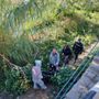 Ventimiglia: 40enne del Bangladesh trovato morto con la gola tagliata, si è suicidato per aver perso il lavoro (Foto) Ventimiglia: 40enne del Bangladesh trovato morto con la gola tagliata, si è suicidato per aver perso il lavoro (Foto)