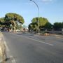 Sanremo, dopo il taglio dei pini in via Padre Semeria arrivano i nuovi asfalti: affidati i lavori per quasi 185 mila euro, giovedì l'inizio