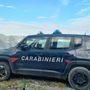 Oltre 200 animali stipati in una villa sulle alture di Sanremo: scoperta choc dopo una segnalazione, coppia denunciata