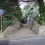 26enne accoltellata in via Bresciana, il testimone-soccorritore: &quot;Urlava chiedendo aiuto. Abbiamo tamponato la ferita aspettando i soccorsi&quot;