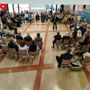 "NOVA. Parola all'Italia", a Savona il percorso partecipativo per contribuire alla costruzione del programma di governo (FOTO) "NOVA. Parola all'Italia", a Savona il percorso partecipativo per contribuire alla costruzione del programma di governo (FOTO)