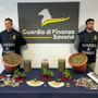 Arrestato pusher 47enne: in casa oltre 3 kg di marijuana e una coltivazione di piantine. Riforniva la piazza di Savona Arrestato pusher 47enne: in casa oltre 3 kg di marijuana e una coltivazione di piantine. Riforniva la piazza di Savona