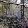 Sassello, incendio boschivo in località Chiapuzzo: bonifica in corso (FOTO)