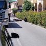 Viene colpita prima da un'auto e poi finisce contro un camion nella corsia opposta: 60enne in prognosi riservata al Santa Corona