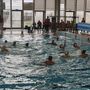 Pallanuoto. La Rari risponde presente anche con il Telimar Palermo: alla "Zanelli" successo biancorosso 18-13 Pallanuoto. La Rari risponde presente anche con il Telimar Palermo: alla "Zanelli" successo biancorosso 18-13