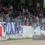 Calcio | Savona, ripescaggio in stand by. La decisione finale arriverà la prossima settimana