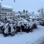 La neve imbianca la Granda: disagi contenuti e scatta il Piano Neve La neve imbianca la Granda: disagi contenuti e scatta il Piano Neve