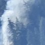 Incendio nei boschi di Elva: vigili del fuoco al lavoro in una zona impervia [FOTO]