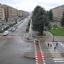 Piazza Europa: non c’è pace per i cedri. In Consiglio comunale a Cuneo scintille tra maggioranza e opposizioni Piazza Europa: non c’è pace per i cedri. In Consiglio comunale a Cuneo scintille tra maggioranza e opposizioni